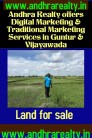 3 Crops Agri Land with Water-Bore-Godown-Drip-Houses-Poly House