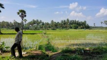 3.2 Acers land next to Kathipudi-Ongole Highway NH-216 (Mamidikuduru bypass)