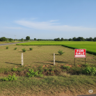 Land for Sale near Pedakurapadu, Andhra Pradesh