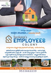 Employees Colony, Guntur, Ankireddypalem